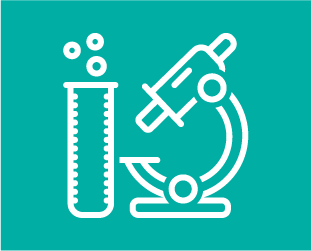 icon lab